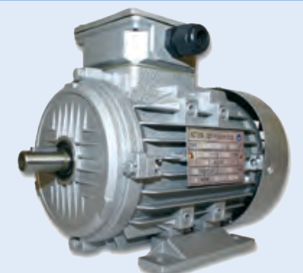 Electric Motor