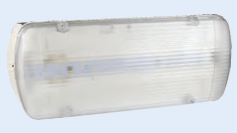 Emergency Light